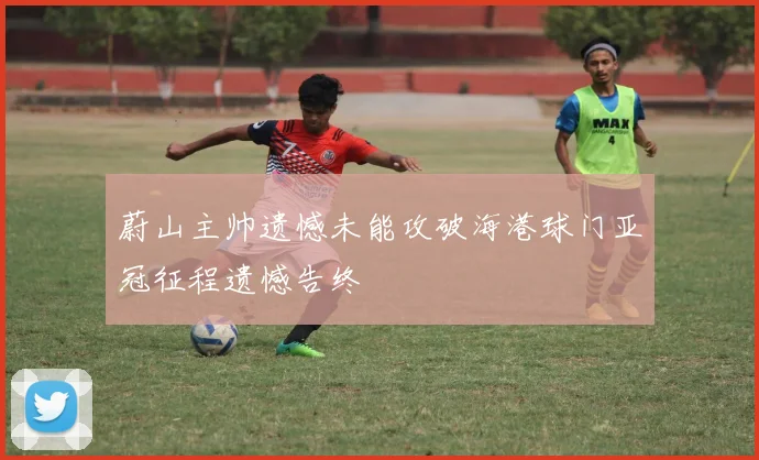 蔚山主帅遗憾未能攻破海港球门亚冠征程遗憾告终