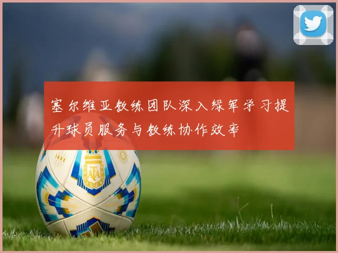 塞尔维亚教练团队深入绿军学习提升球员服务与教练协作效率